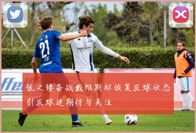 张之臻备战戴维斯杯恢复发球状态引发球迷期待与关注