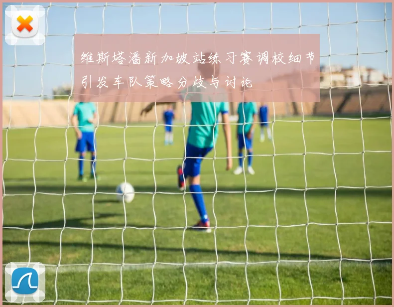 维斯塔潘新加坡站练习赛调校细节引发车队策略分歧与讨论