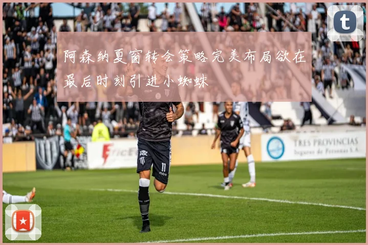 阿森纳夏窗转会策略完美布局欲在最后时刻引进小蜘蛛
