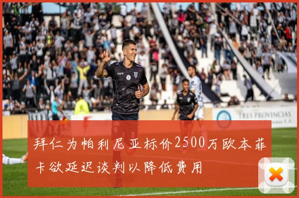 拜仁为帕利尼亚标价2500万欧本菲卡欲延迟谈判以降低费用